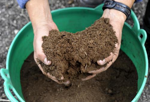 Hands with soil